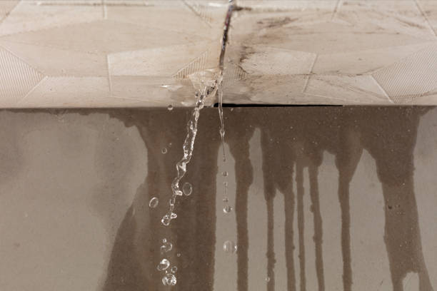 Professional Commercial Water Damage Restoration technician working in Bybee, TN
